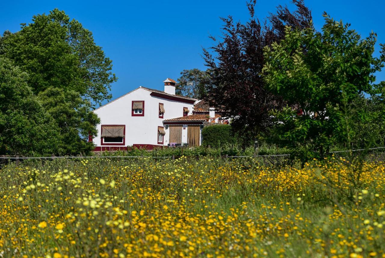 Quinta Da Dourada Ξενοδοχείο Portalegre Εξωτερικό φωτογραφία