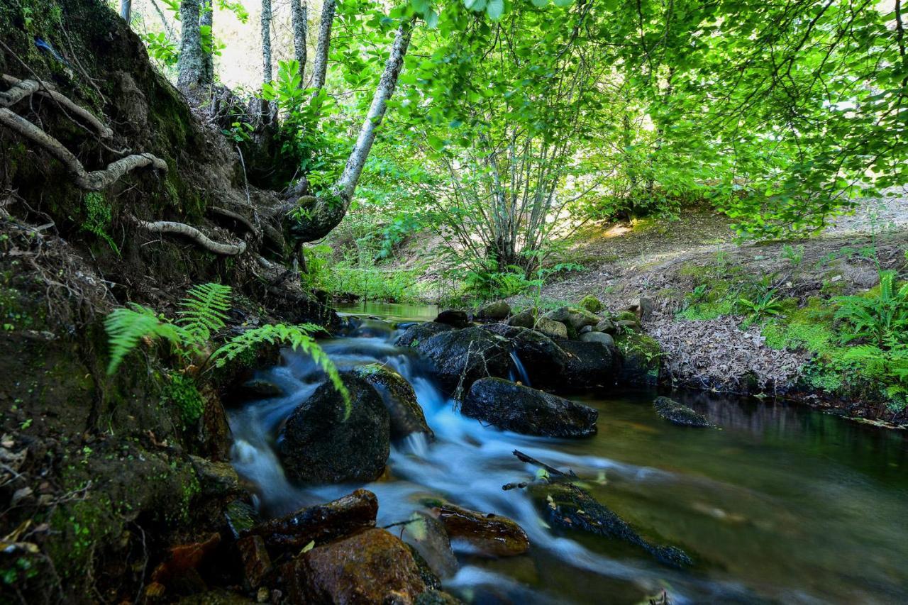 Quinta Da Dourada Ξενοδοχείο Portalegre Εξωτερικό φωτογραφία